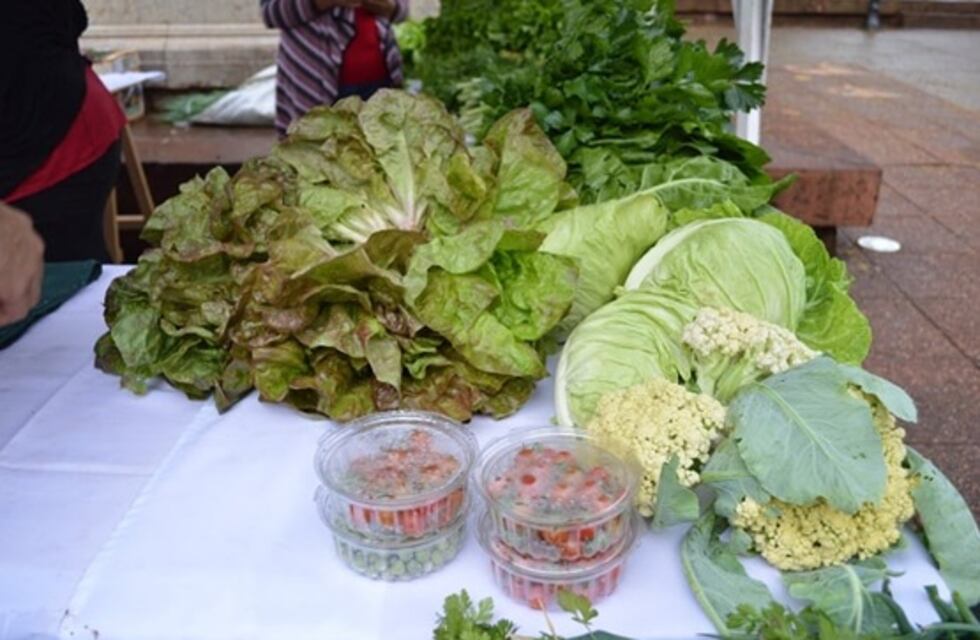 Realizarán en Iguazú la Gran Feria de Productos Agroecológicos