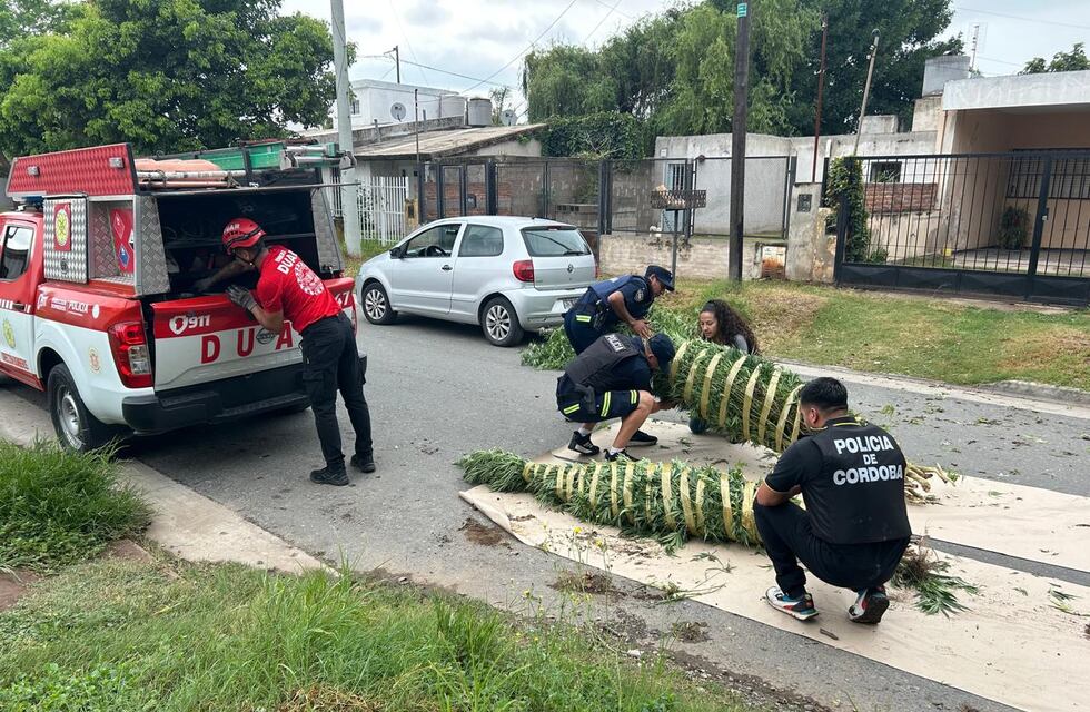 Detuvieron a 50 personas en un megaoperativo en Córdoba: secuestraron armas y drogas