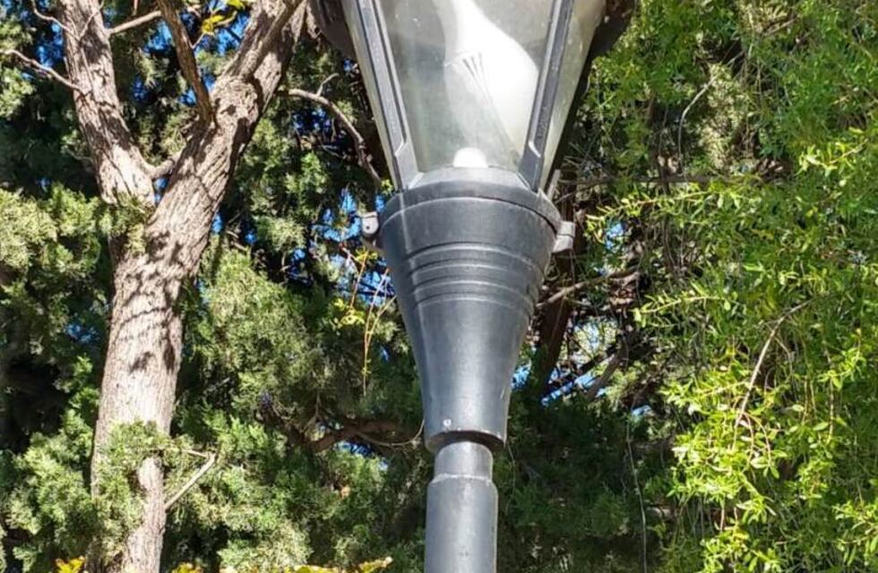 Vándalos destrozaron las farolas en la plaza Manuel Belgrano