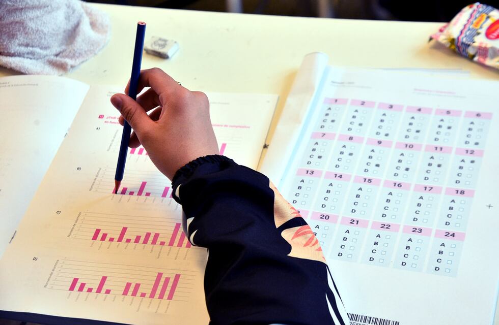 Pruebas Aprender: cuáles fueron los resultados de los alumnos de primaria y secundaria en Córdoba