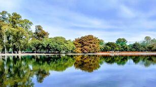 El hallazgo se hizo en las cercanías de la orilla de uno de los lagos.