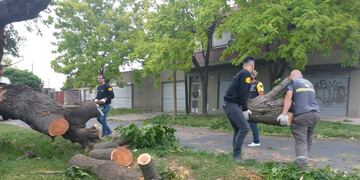 Fuertes ráfagas de viento afectaron a la región.