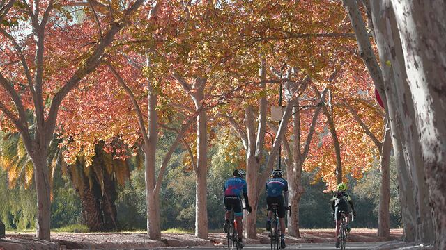 Según el pronóstico, este miércoles será un día agradable.