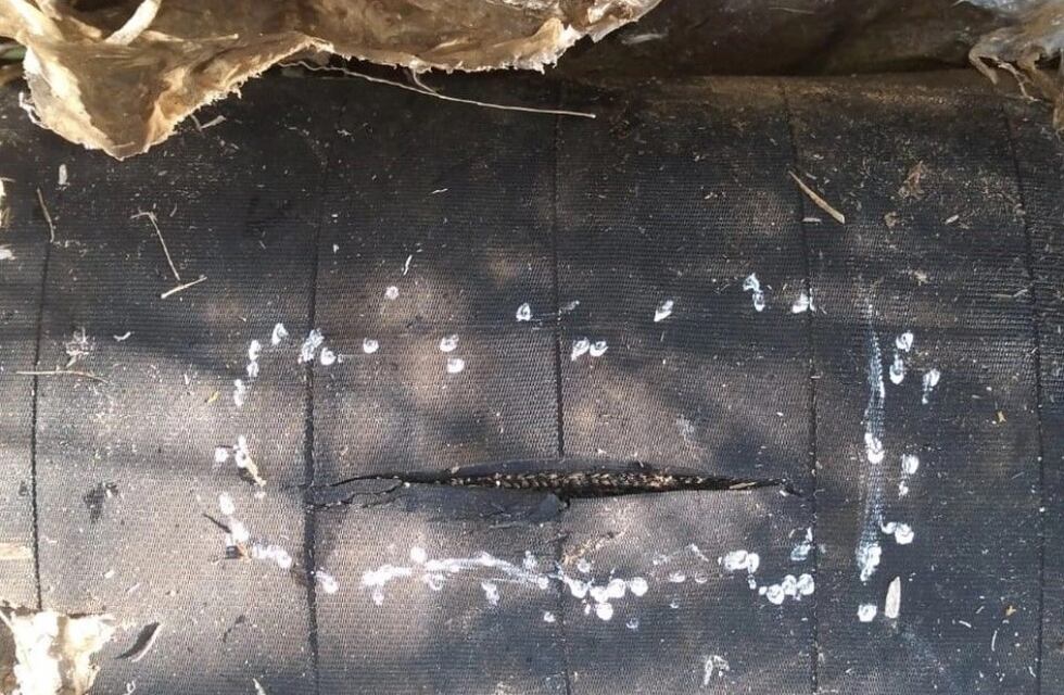 Varios barrios de Puerto Iguazú quedaron sin agua por vandalismo