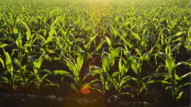 Agross reafirma su compromiso con el sector con su presencia en el anfiteatro de Jose Hernandez. (Foto: Agross)