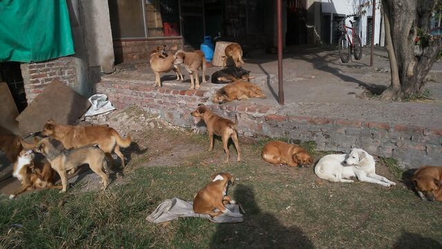 Proteccionistas de Gualeguaychú