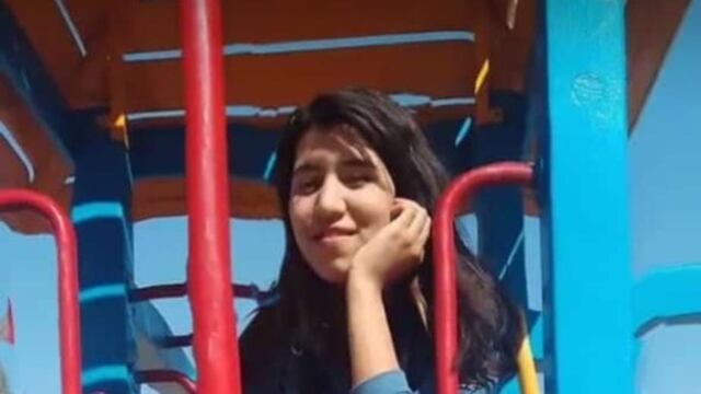 Trinidad tenía 15 años, murió atacada por dogos.