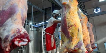 Aduana suspendió el comercio exterior de tres frigoríficos por presuntas irregularidades