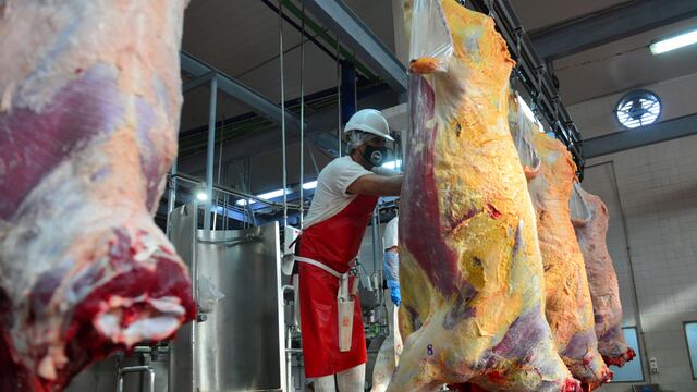 Aduana suspendió el comercio exterior de tres frigoríficos por presuntas irregularidades