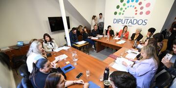 Diputados de Entre Ríos.