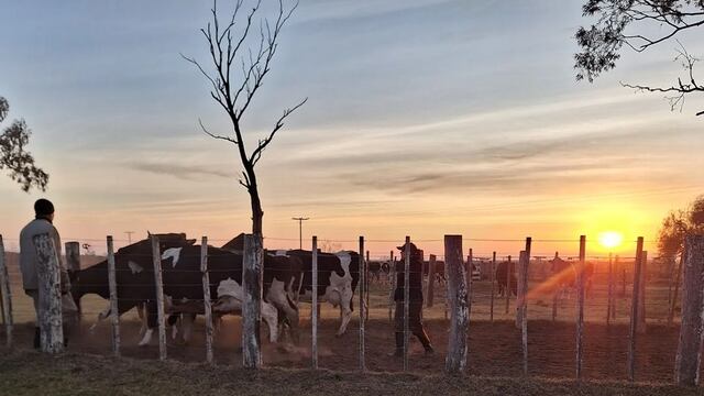 La empresa fue inaugurada por su abuelo y también, administrada por su padre.
