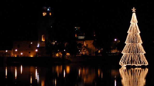 ÁRBOL DE NAVIDAD. Imagen ilustrativa
