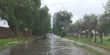 Desde la madrutruga llueve en el Gran Mendoza