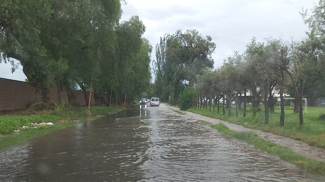 Desde la madrutruga llueve en el Gran Mendoza