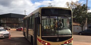 La empresa de transporte público en Eldorado incorpora nuevas unidades