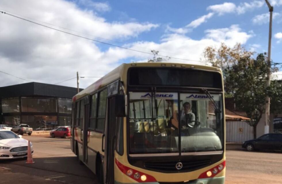 La empresa de transporte público en Eldorado incorpora nuevas unidades