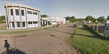 Un vecino de General Cabrera registró el desopilante encuentro con "Kevin".