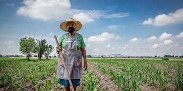 Mendoza Adhieren a Ley Nacional  que declara el 15 de octubre como  Día de la Mujer Rural
