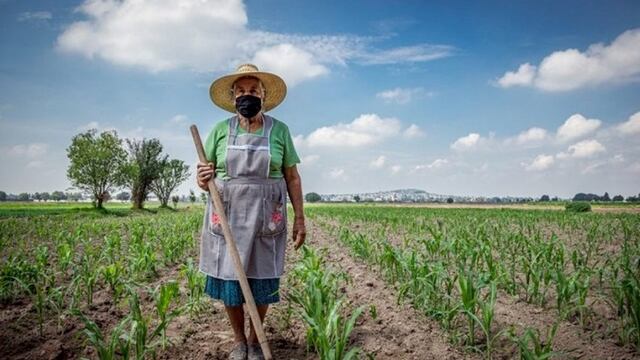Mendoza Adhieren a Ley Nacional  que declara el 15 de octubre como  Día de la Mujer Rural