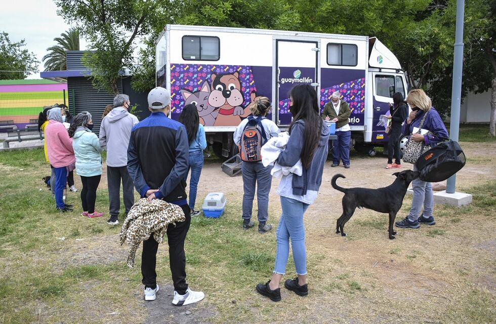 Guaymallén ofrecerá tratamientos gratuitos para las mascotas