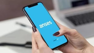 Cómo consultar la Historia Laboral en ANSES.