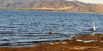 A la vera del lago. Primavera 2020 en Carlos Paz. (Foto: VíaCarlosPaz).