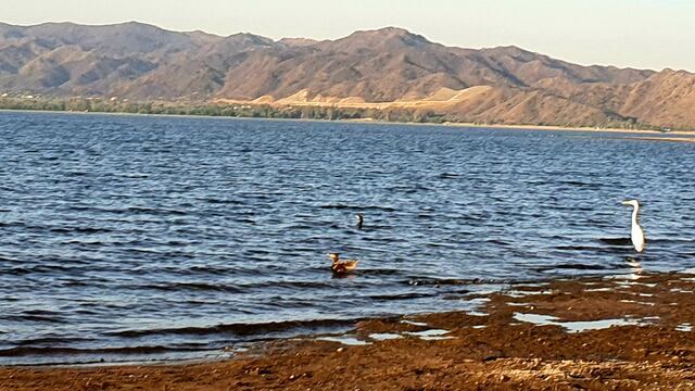 A la vera del lago. Primavera 2020 en Carlos Paz. (Foto: VíaCarlosPaz).