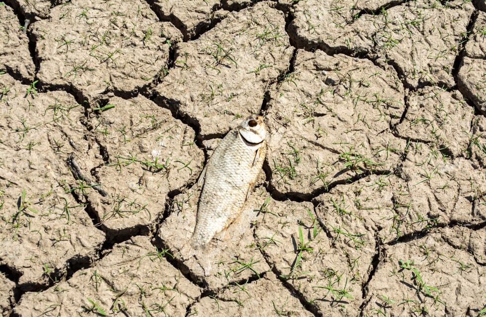 Emergencia hídrica en Victoria: “Nuestro río se está desangrando”