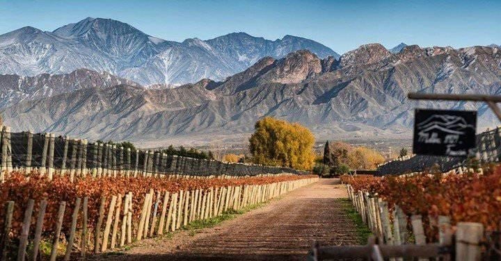 Chacras de Coria: el paraíso vitivinícola a solo 15 km de Mendoza que combina historia, vino y gastronomía gourmet