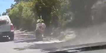 El video fue compartido en Instagram y le sacó una sonrisa a más de un usuario.