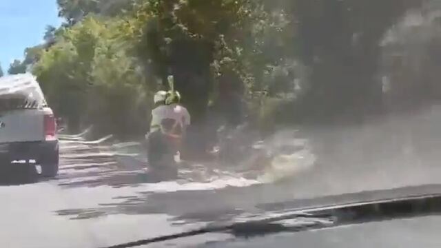 El video fue compartido en Instagram y le sacó una sonrisa a más de un usuario.