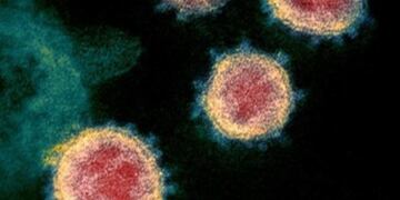 Nuevo Covid-19 en China: Qué es y cómo se contagia el metapneumovirus humano.