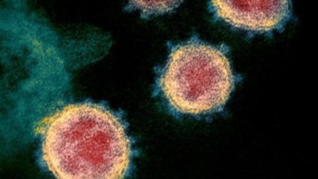 Nuevo Covid-19 en China: Qué es y cómo se contagia el metapneumovirus humano.