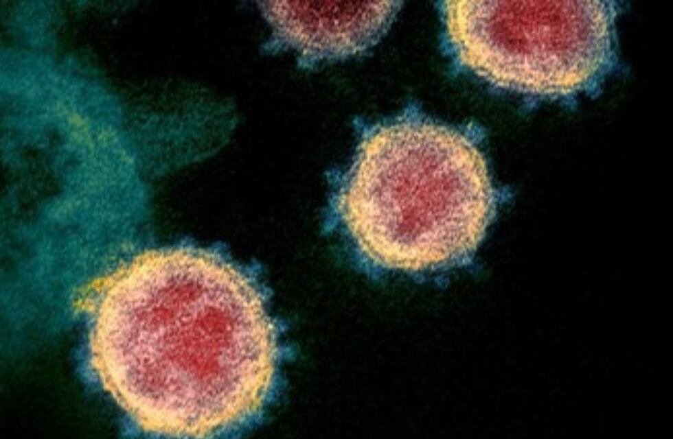 Nuevo Covid-19 en China: Qué es y cómo se contagia el metapneumovirus humano