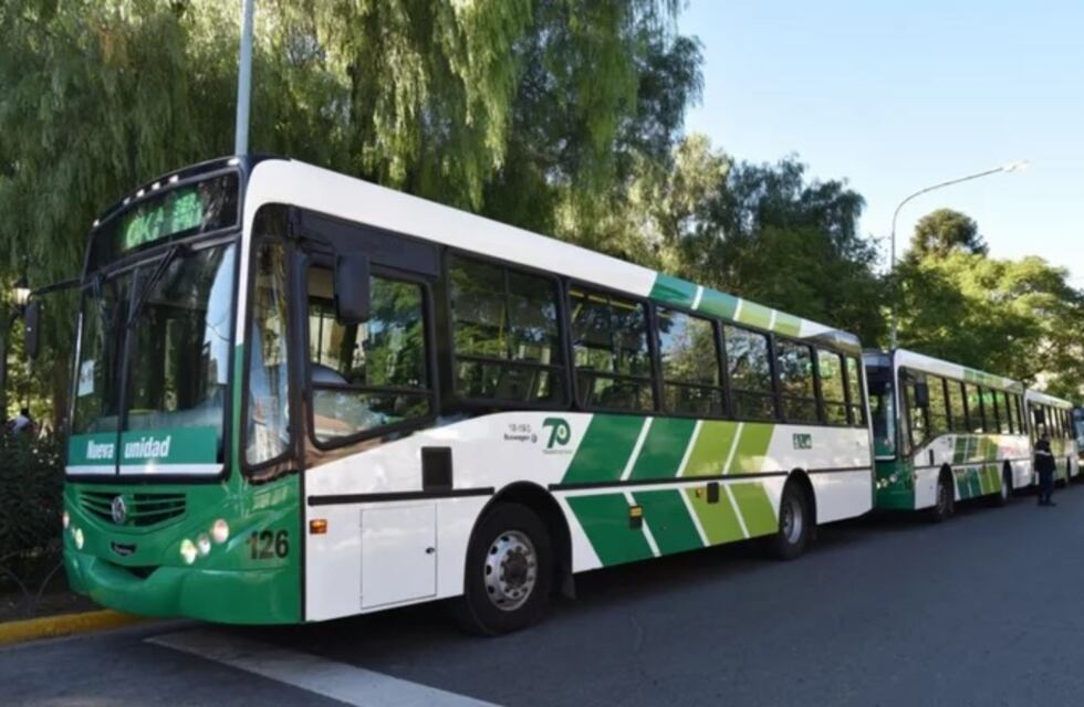El transporte será gratuito en San Luis el domingo de elecciones
