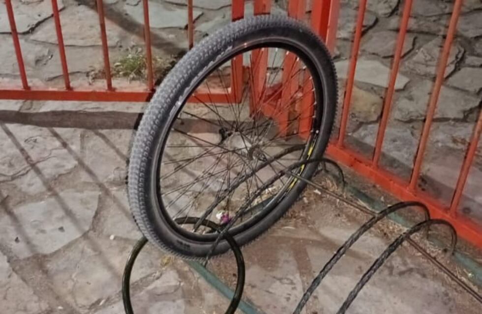 Robó “media” bicicleta y amenazó al personal policial que lo aprehendió