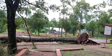 Se mantienen vigentes los trabajos de asistencia por el temporal en zona Centro.