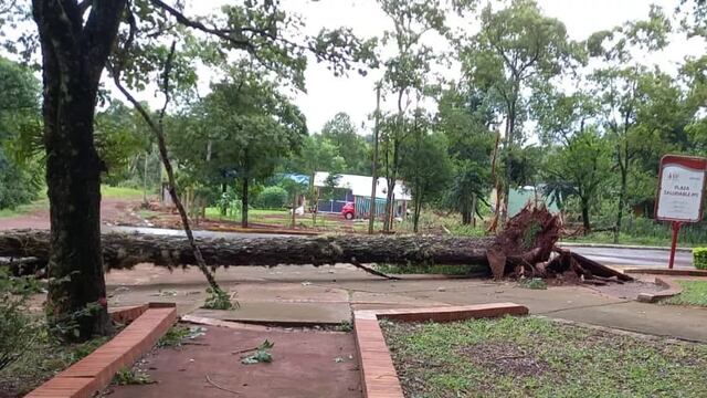 Se mantienen vigentes los trabajos de asistencia por el temporal en zona Centro.