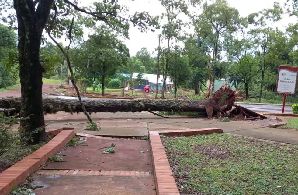 Se mantienen vigentes los trabajos de asistencia por el temporal en zona Centro