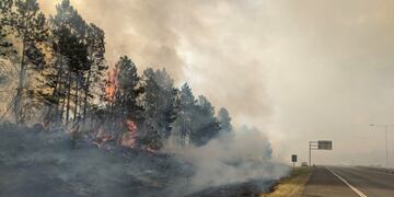 Nuevo incendio forestal en Concordia.