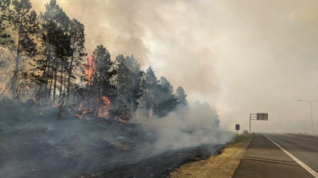 Nuevo incendio forestal en Concordia.