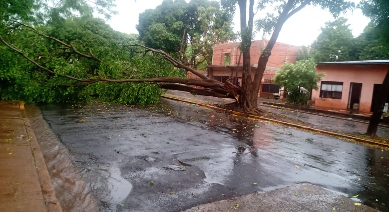 Los vientos alcanzaron los 80 Km/hora.