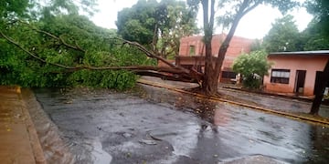 Los vientos alcanzaron los 80 Km/hora.