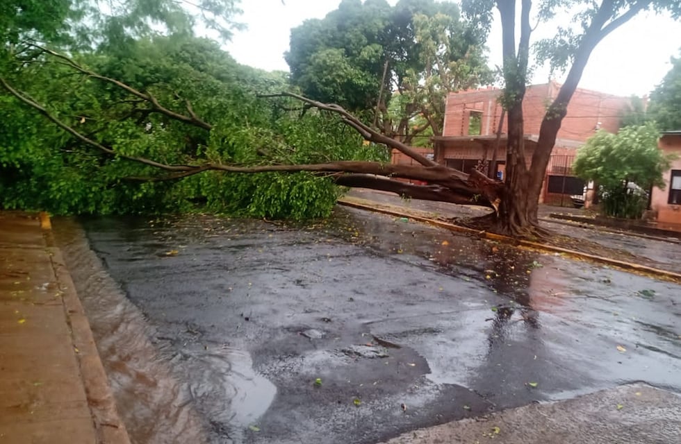 Feroz temporal dejó causó daños en distintos puntos de Posadas