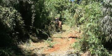 Durante una jornada laboral, un trabajador rural perdió la vida