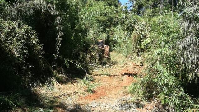 Durante una jornada laboral, un trabajador rural perdió la vida