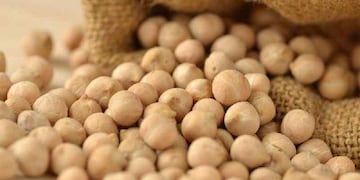 El garbanzo es una legumbre que aporta muchos beneficios para la salud