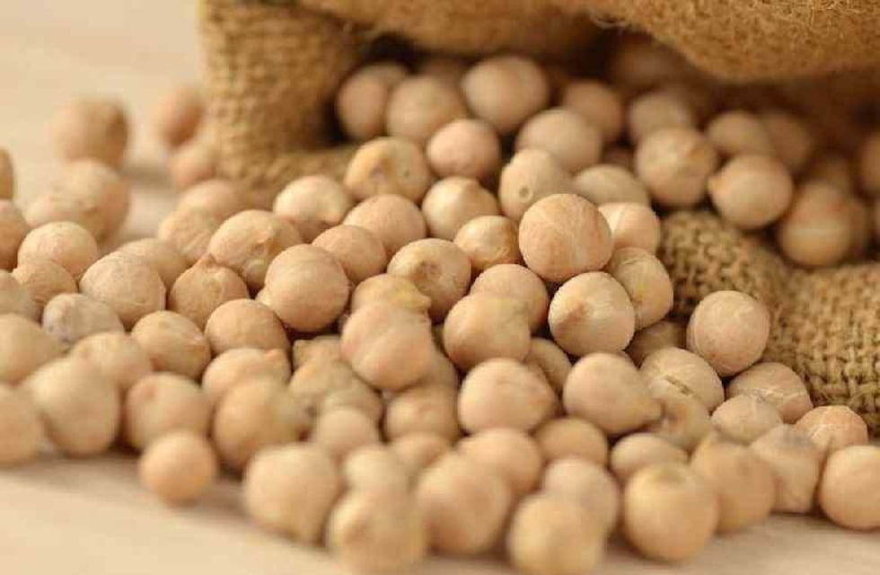 Garbanzos, el alimento clave para combatir el estreñimiento