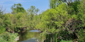 La bella Reserva Natural San Martín.