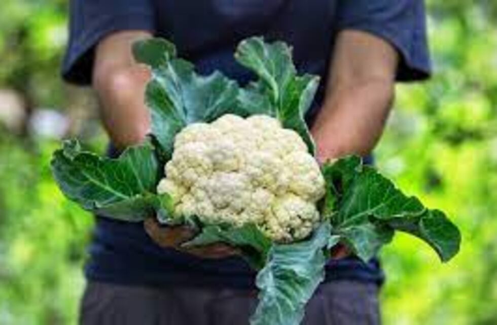 Las hortalizas crucíferas